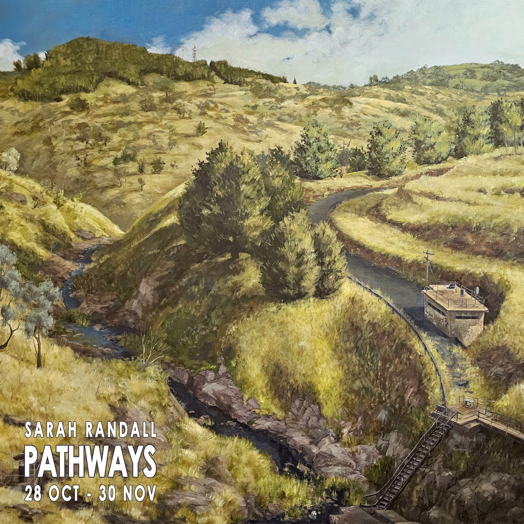Sarah Randall - PATHWAYS – The Peisley Street Gallery