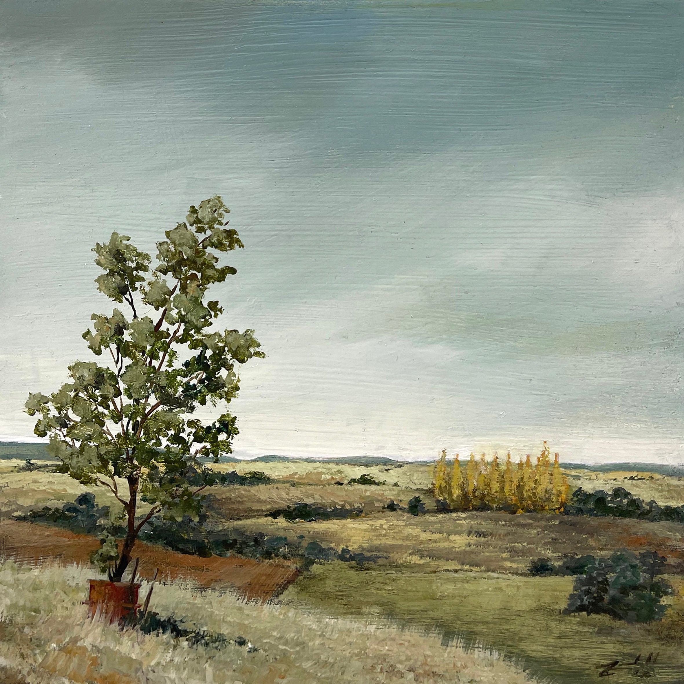 Sarah Randall – The Peisley Street Gallery