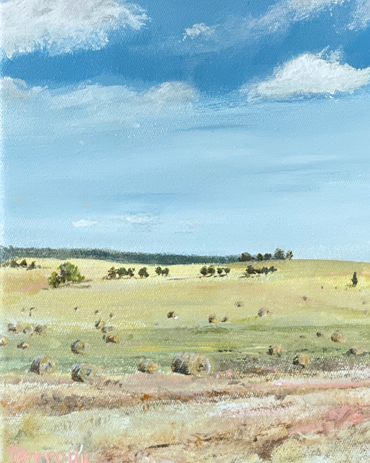 Colour Study: Under Blue Skies