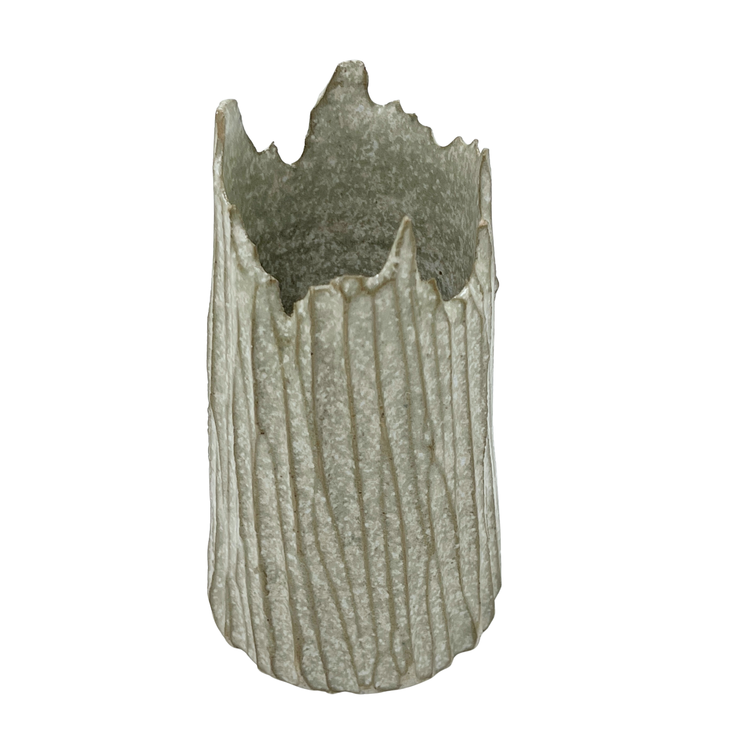 Bark Vessel