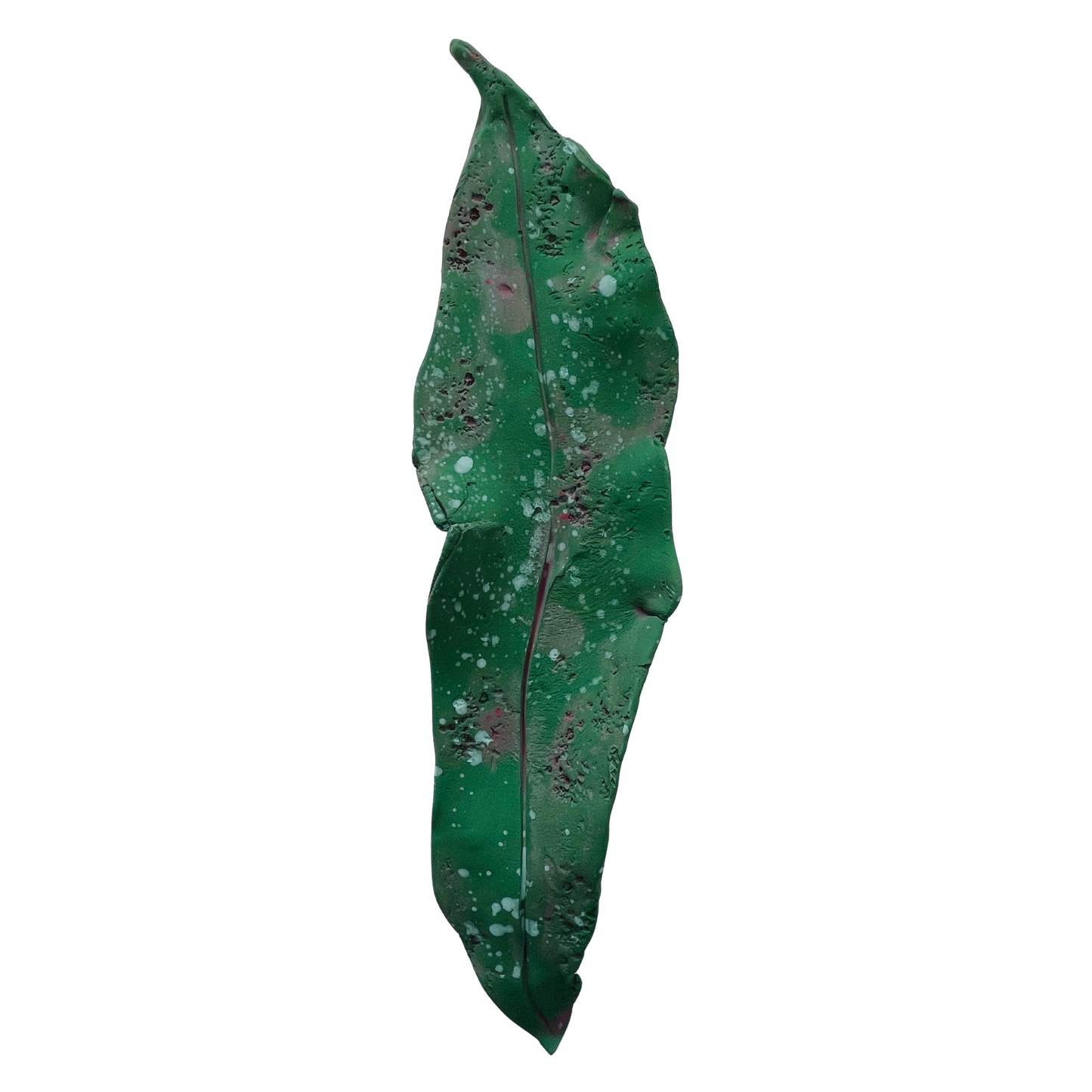 Fallen leaves - spring