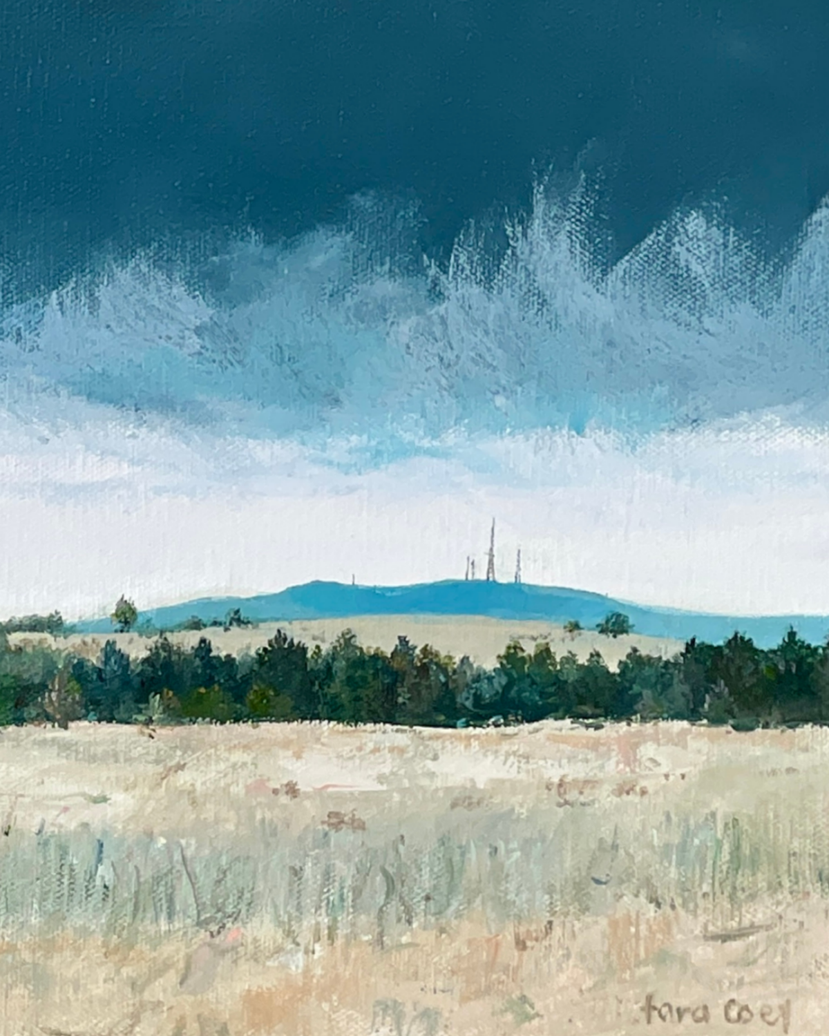 Storm Blue