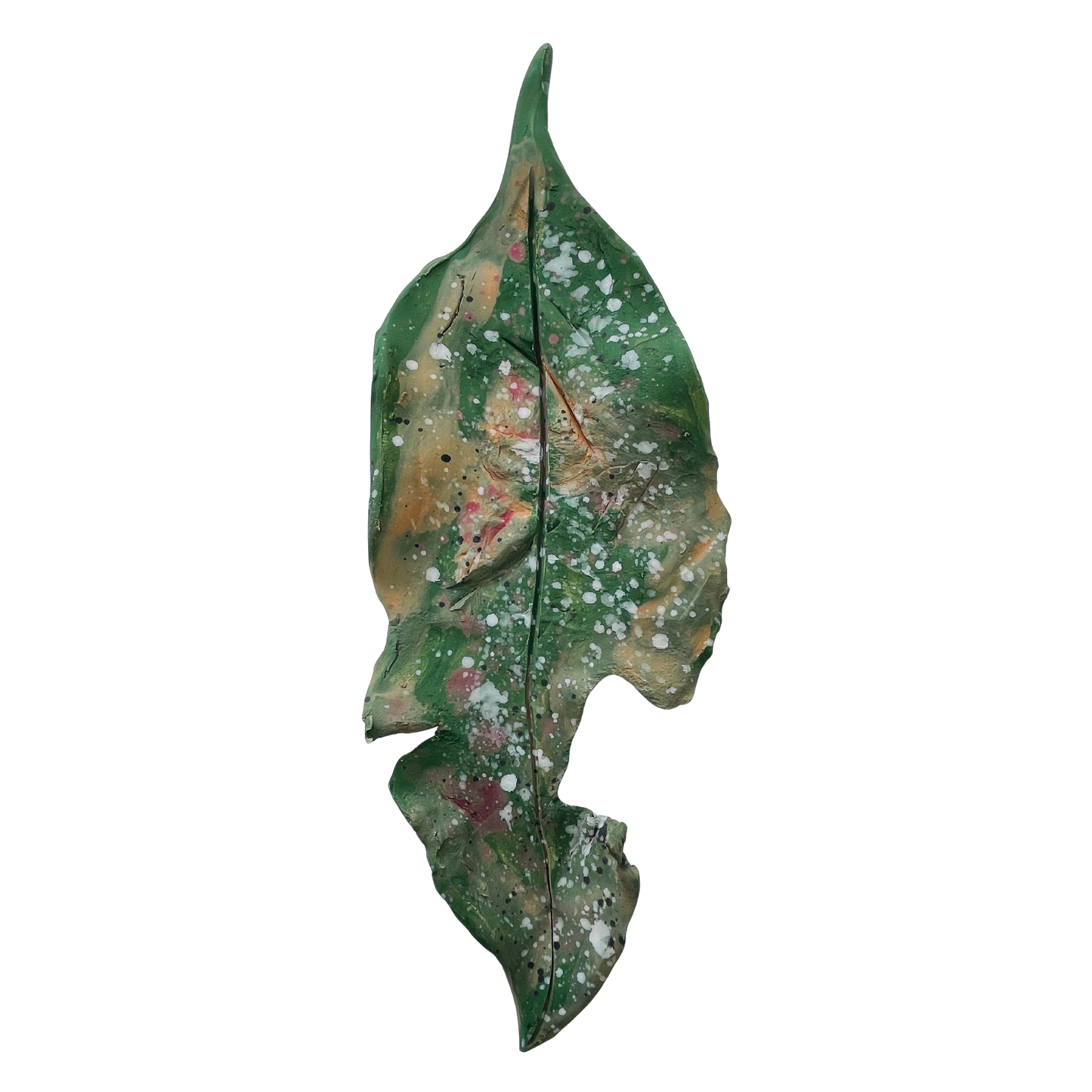 Fallen leaves - spring