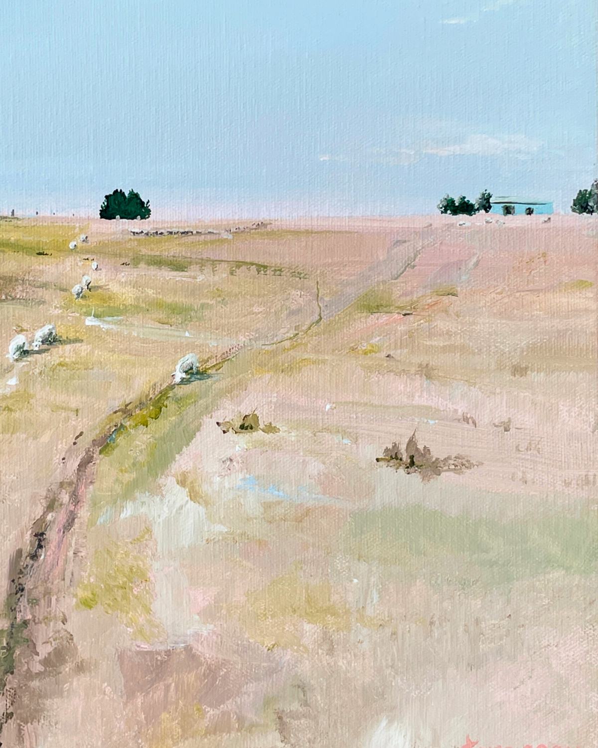 Colour Study - Soft and sweet
