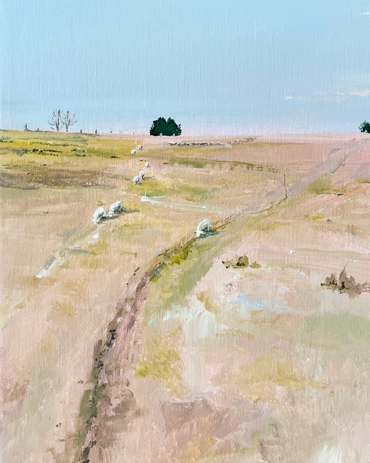 Colour Study - Soft and sweet