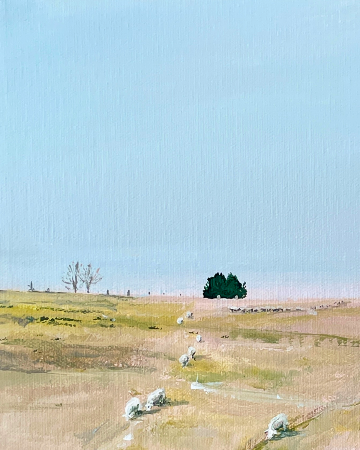 Colour Study - Soft and sweet