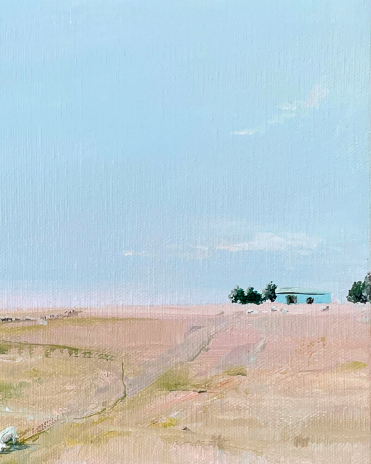 Colour Study - Soft and sweet