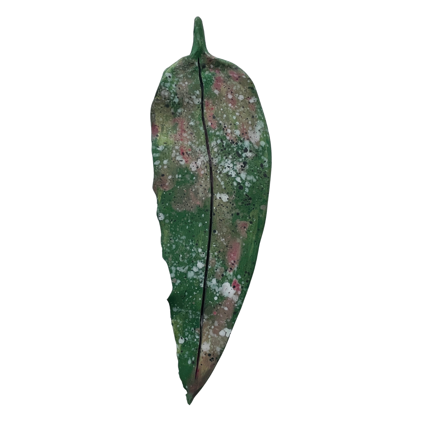 Fallen leaves - spring