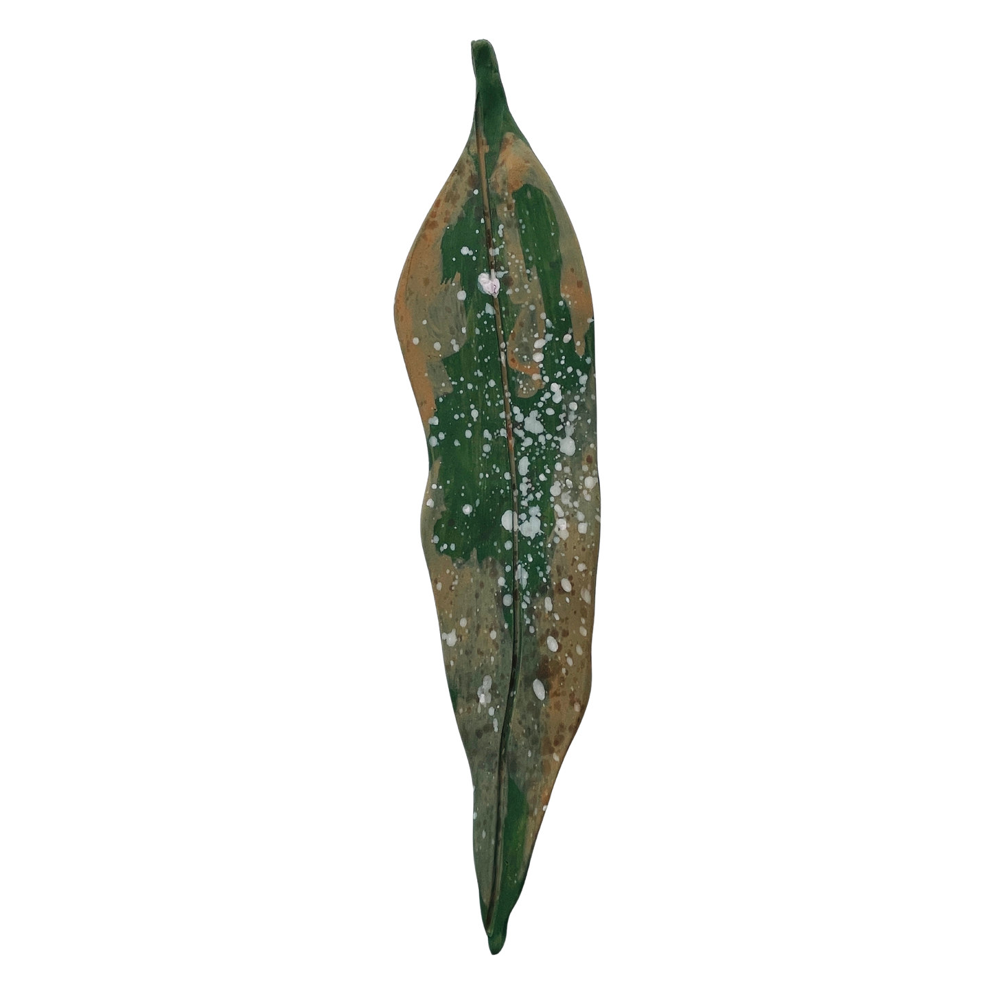 Fallen leaves - autumn