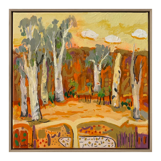 Alice Springs Gorge