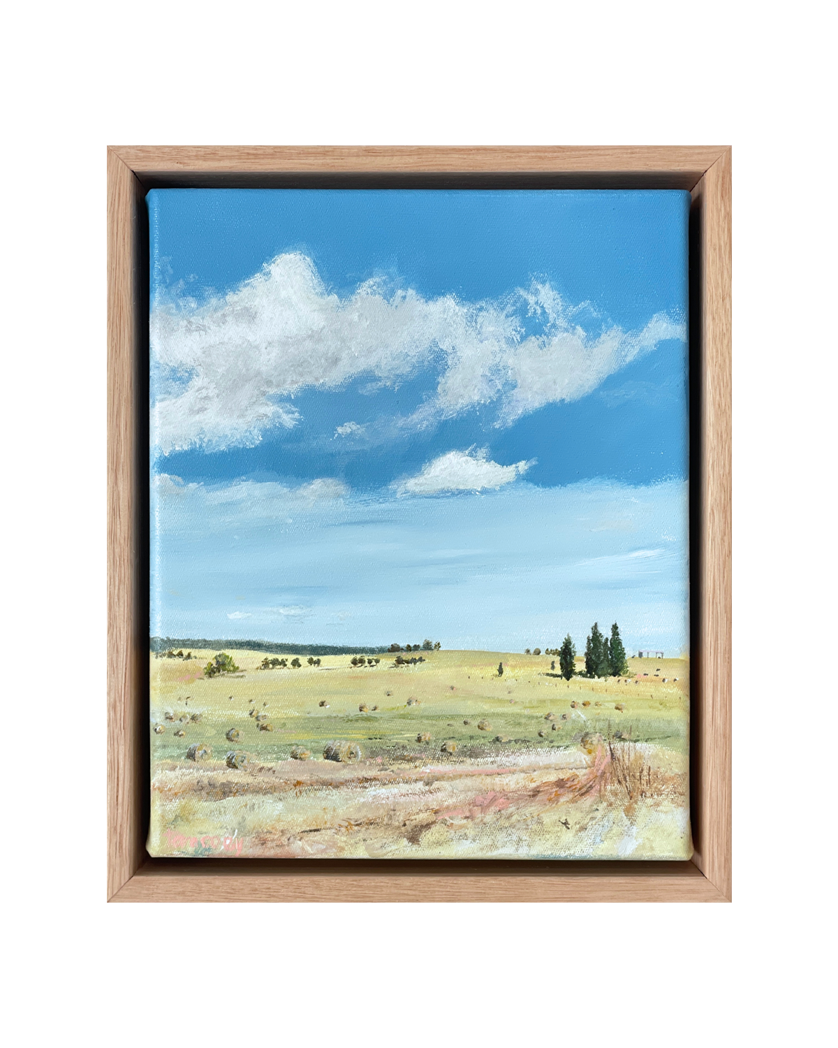 Colour Study: Under Blue Skies