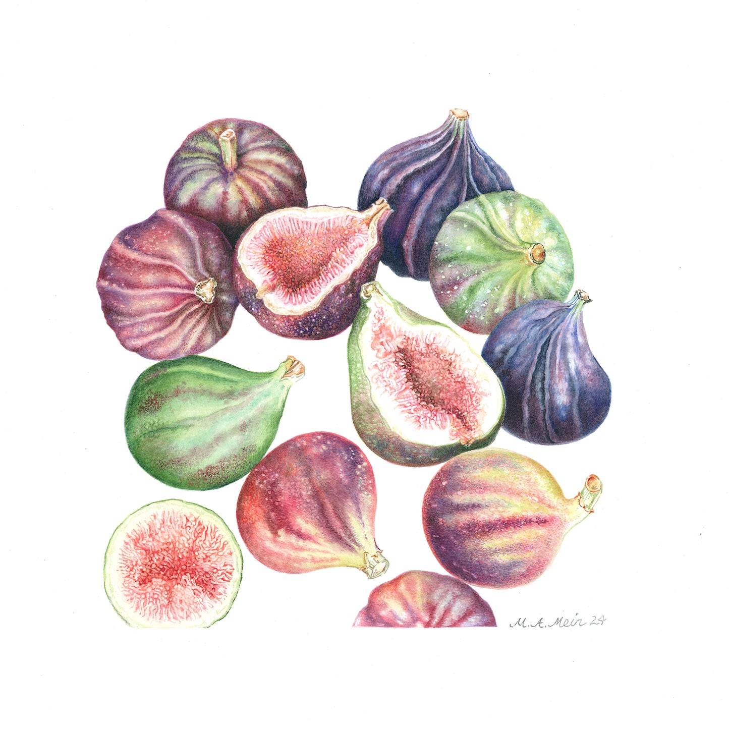 Ficus carica - Figs