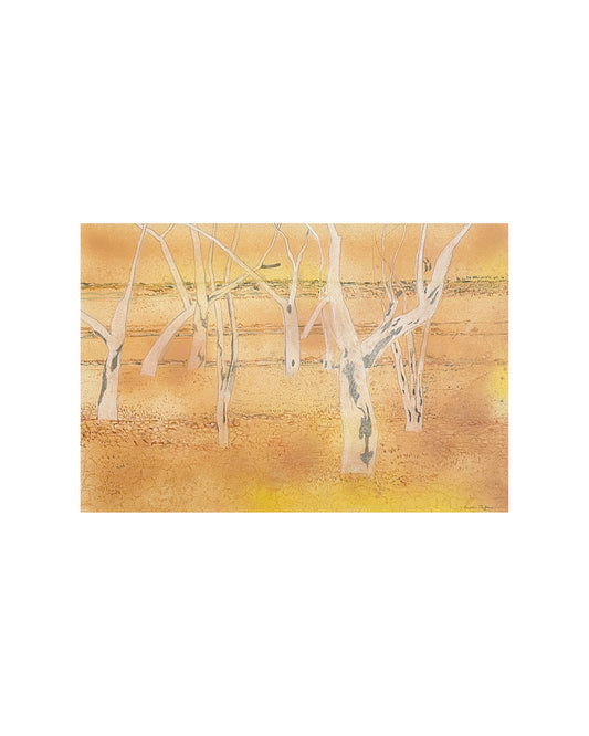 Hale River Creek Bed