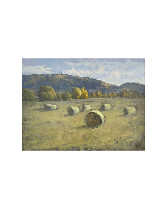 Hay Bales, Bathurst Pastoral