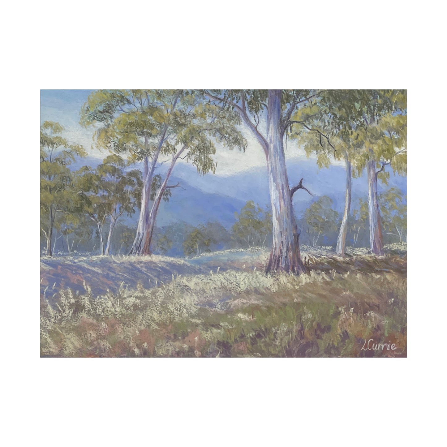 Gum Tree landscape