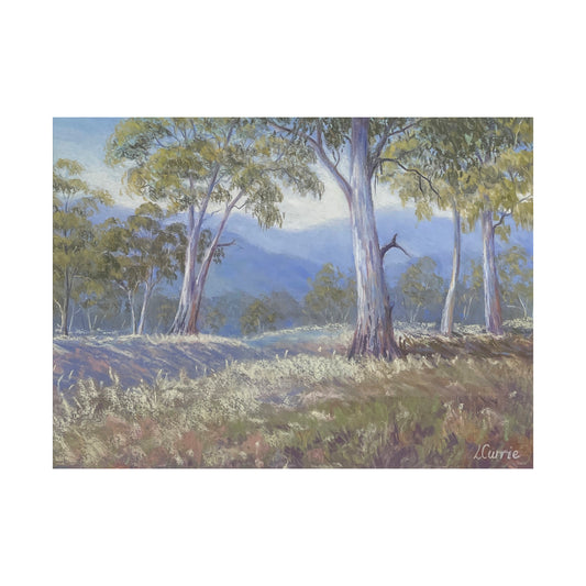 Gum Tree landscape