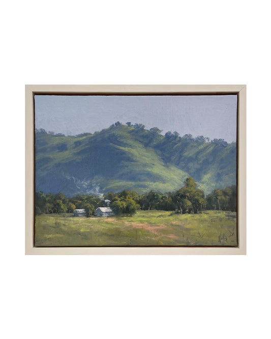 Morning Light near Windamere Dam