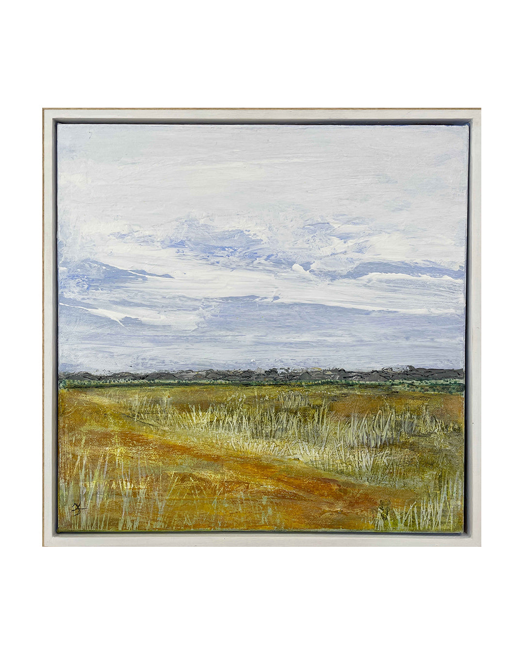 Out on the plains