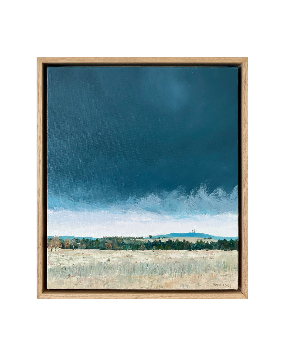 Storm Blue