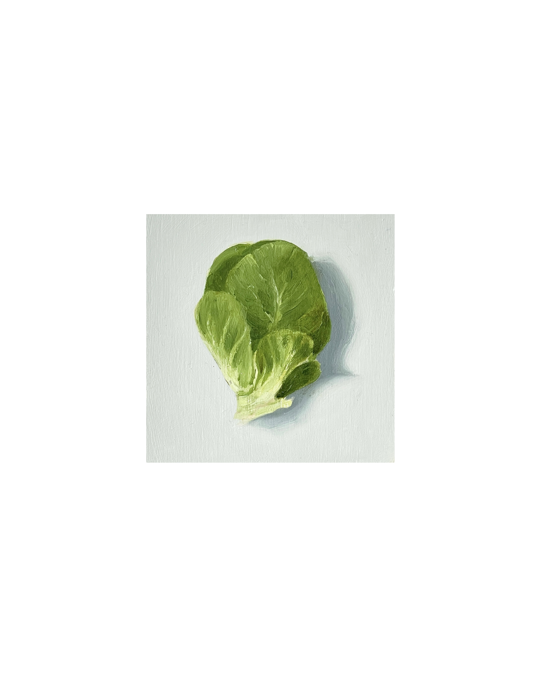 Brussel Sprout