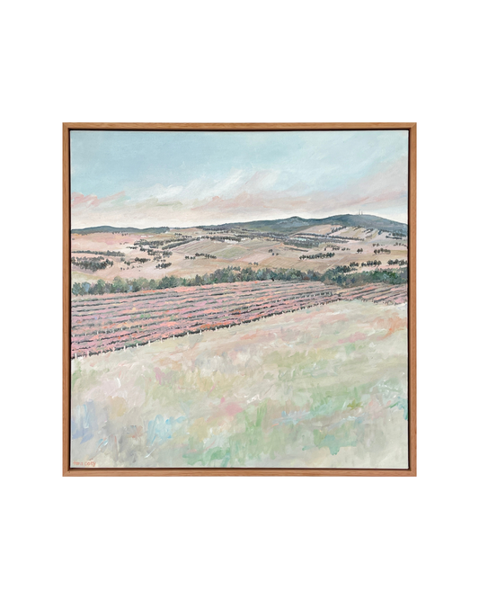 Gentle Rise - Gaanha Bula | Mt Canobolas