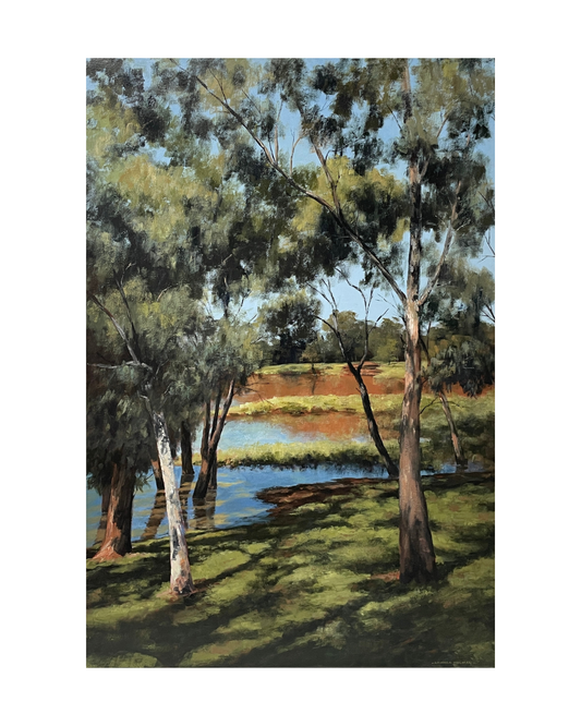 Morning Reflections on the Mehi River