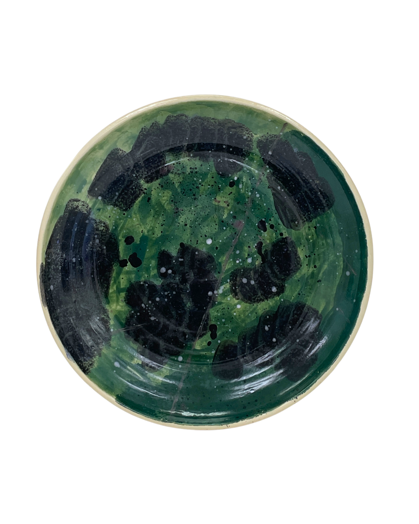 Dish