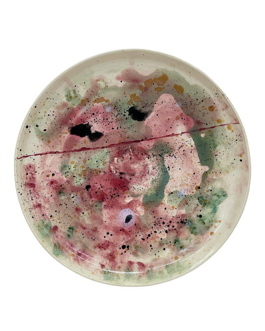 Dish